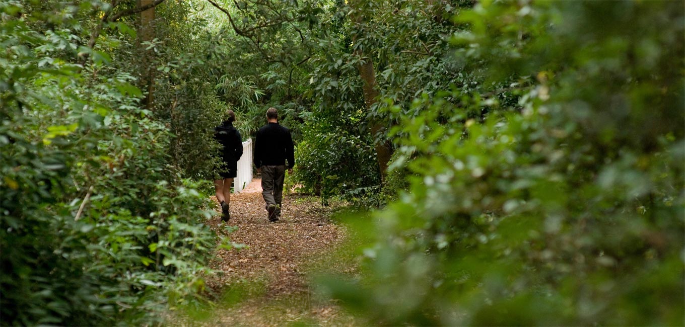 Couple walking in the woodlands near Otahuna Lodge in New Zealand